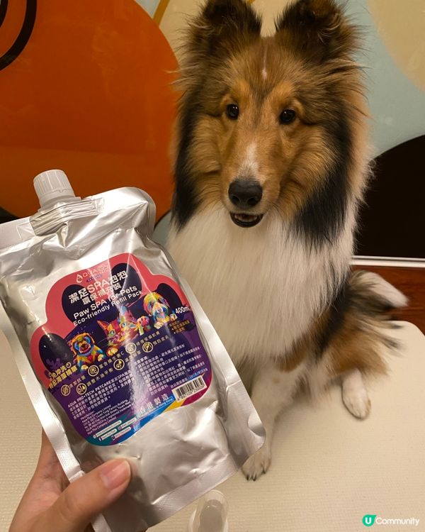 狗狗腳掌終於又滑又乾淨喇🌟