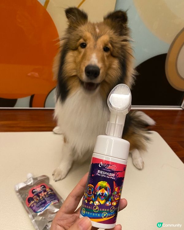 狗狗腳掌終於又滑又乾淨喇🌟