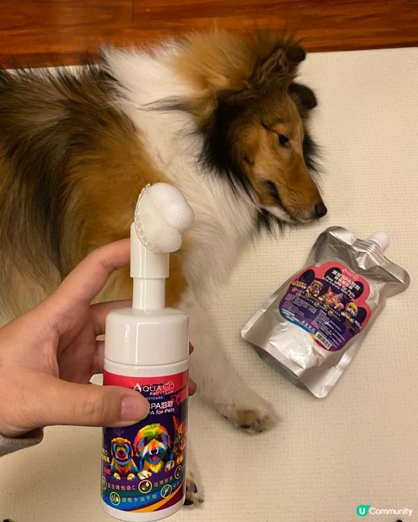 狗狗腳掌終於又滑又乾淨喇🌟