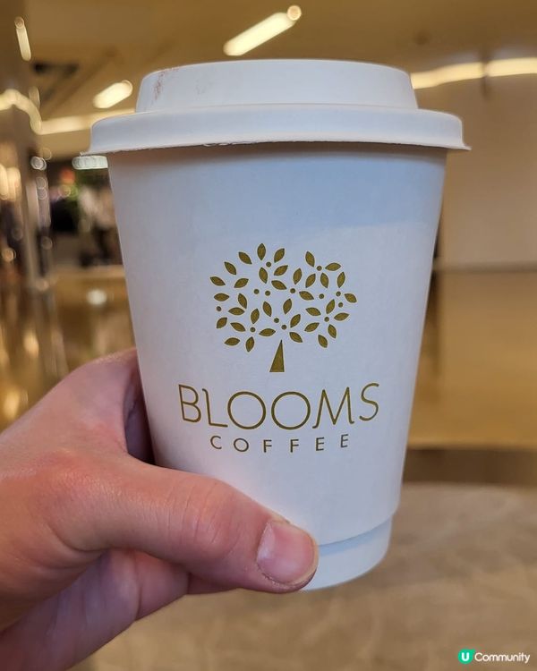 陳豪咖啡店☕️Blooms 夢幻之選！🥰