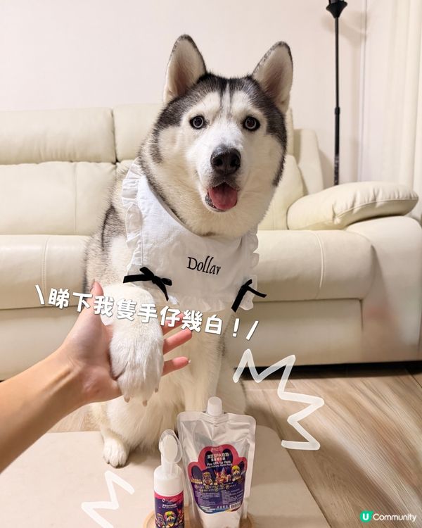 好物推介｜AQUA PROPETCARE 腳掌潔護 SPA 泡泡