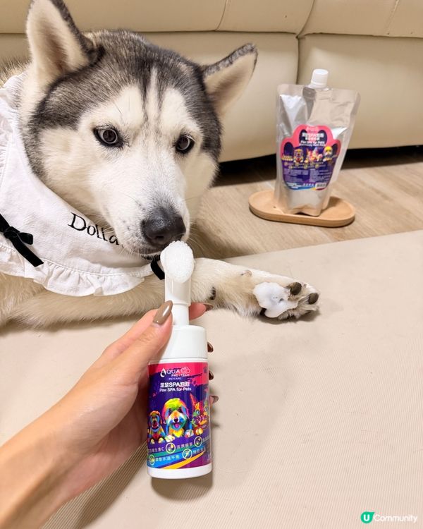 好物推介｜AQUA PROPETCARE 腳掌潔護 SPA 泡泡