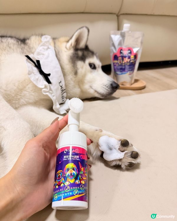 好物推介｜AQUA PROPETCARE 腳掌潔護 SPA 泡泡