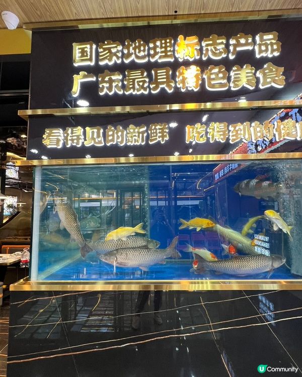 魚家王脆肉鯇🍲🤤 必試！