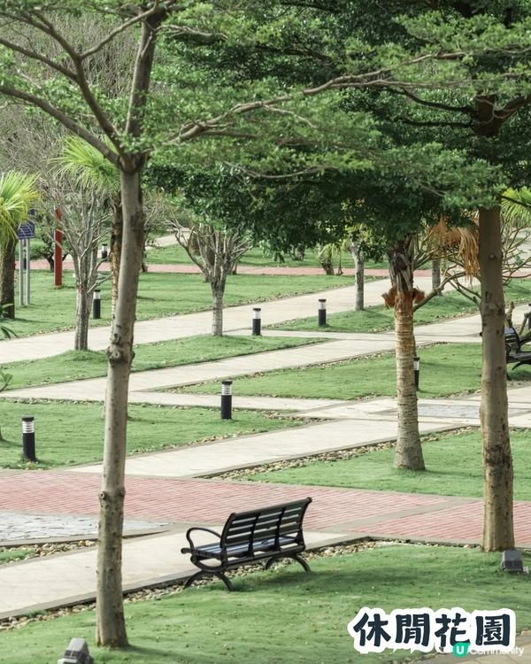 深圳小羅馬? 寶安區13萬㎡羅馬建築廣場🏛️神還原古柱/意大利聖馬可鐘樓超好