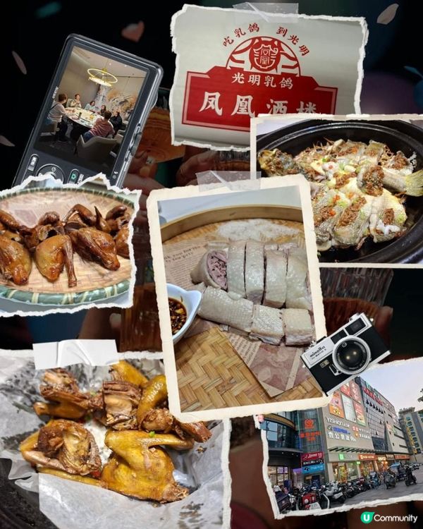 深圳食好嘢😋【鳳凰酒樓•光明乳鴿🥢🍚】