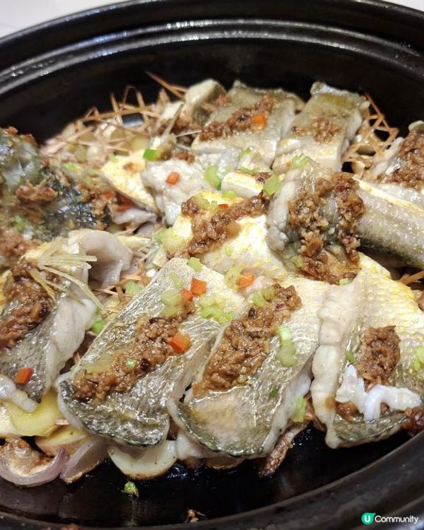 深圳食好嘢😋【鳳凰酒樓•光明乳鴿🥢🍚】