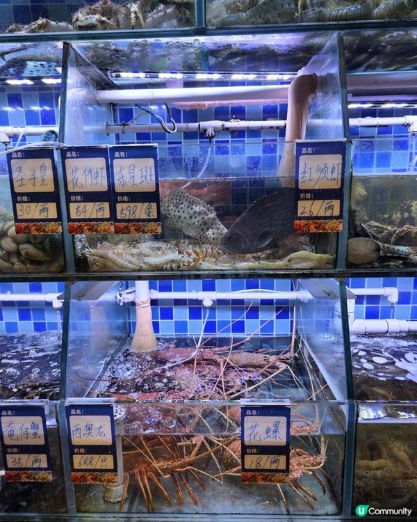 明星光環餐廳 X 團年飯之選 X 砵仔禾蟲 @ 輝記海鮮美食 ( 澳門氹仔 )