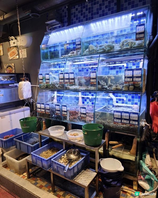 明星光環餐廳 X 團年飯之選 X 砵仔禾蟲 @ 輝記海鮮美食 ( 澳門氹仔 )