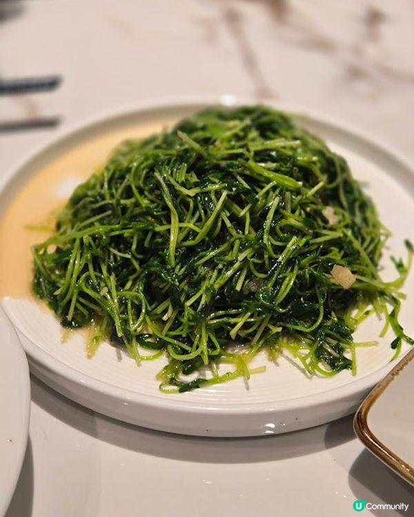 文樂園 - 老字號重現