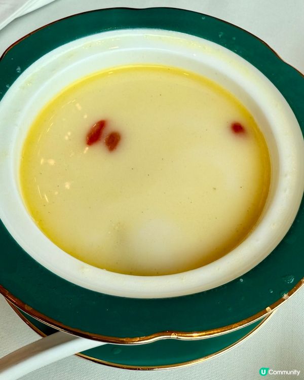 $588酒店粵菜！鮑魚鵝掌+紅酒🍷✨