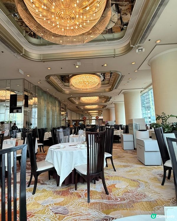 $588酒店粵菜！鮑魚鵝掌+紅酒🍷✨