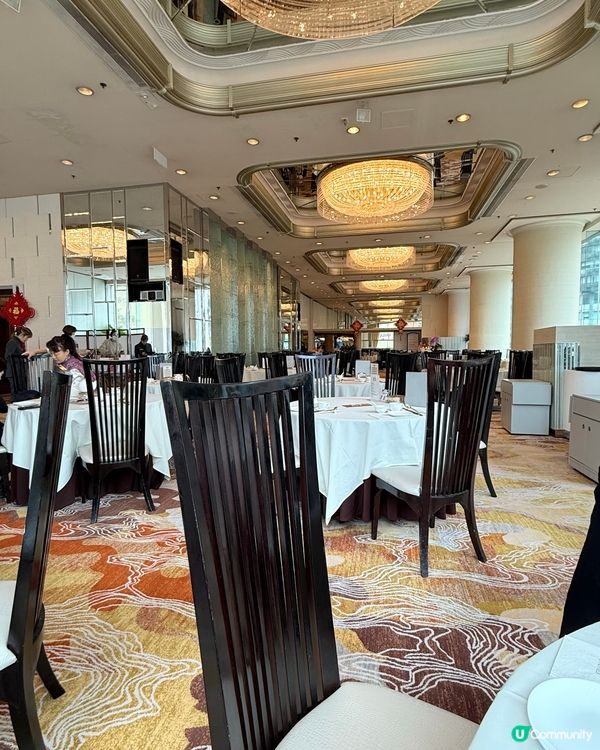 $588酒店粵菜！鮑魚鵝掌+紅酒🍷✨