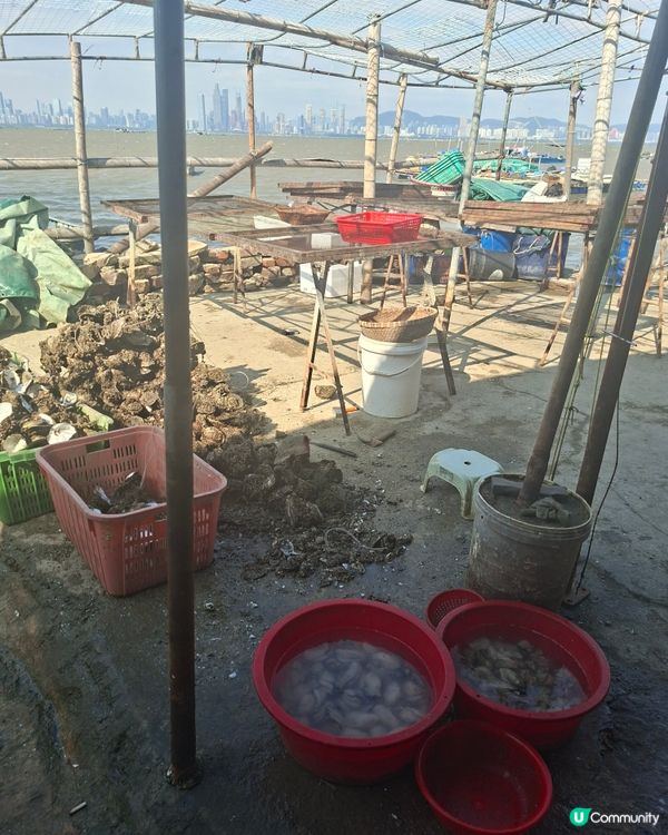 流浮山感受香港情懷