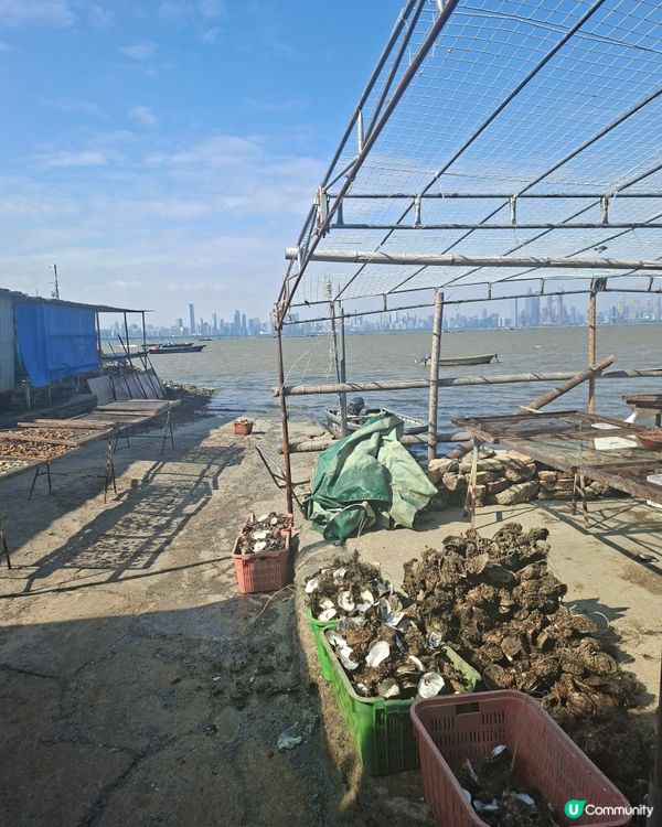 流浮山感受香港情懷