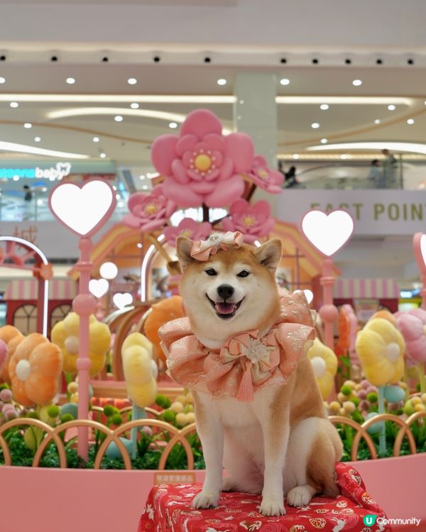 新春打卡好去處