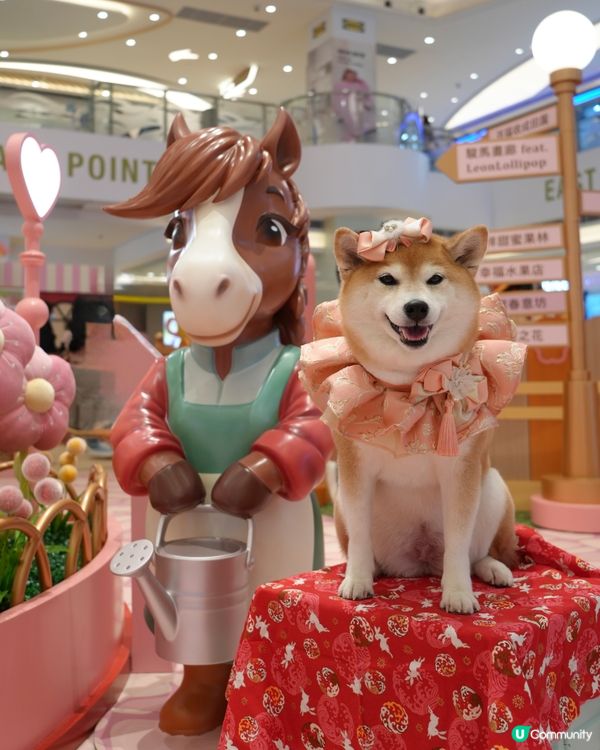 新春打卡好去處