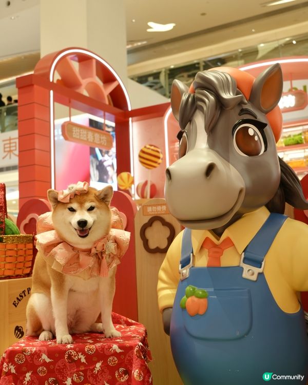 新春打卡好去處