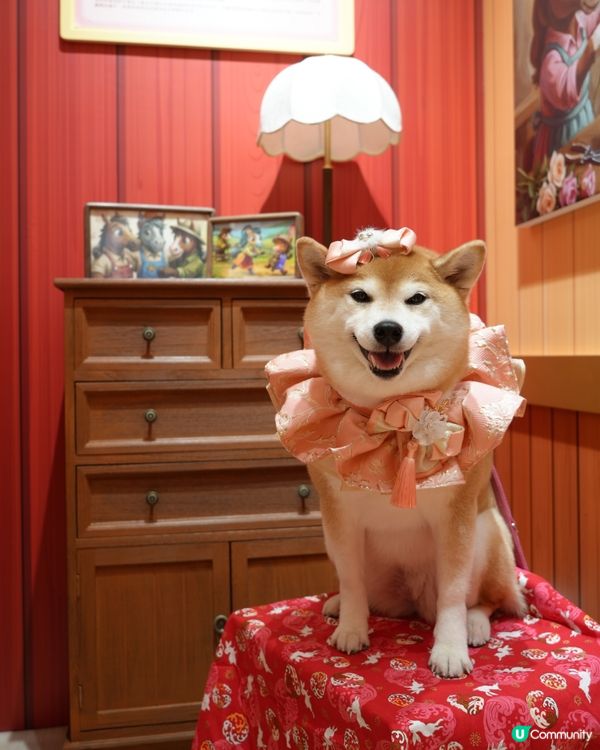 新春打卡好去處