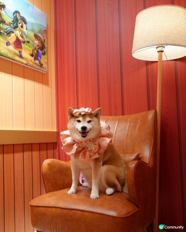 新春打卡好去處