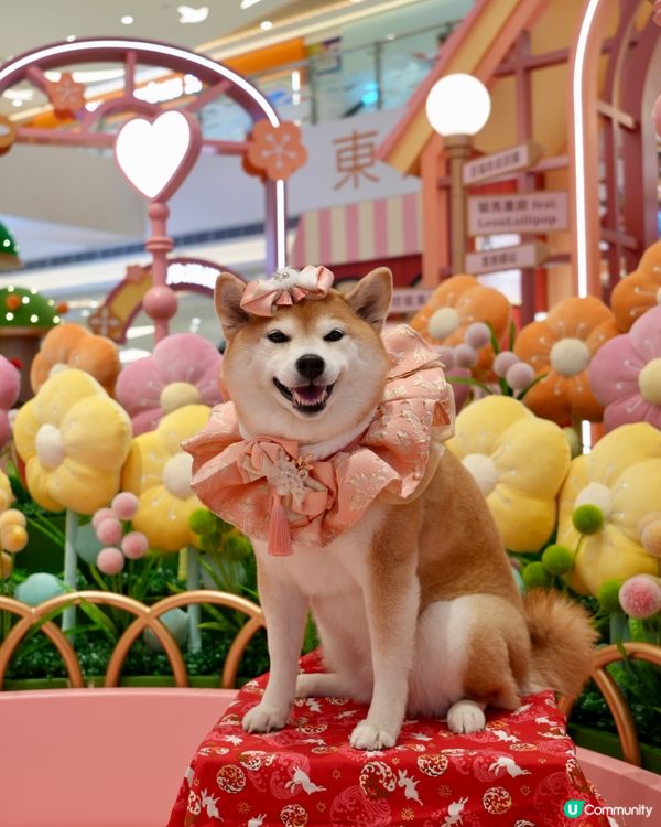 新春打卡好去處