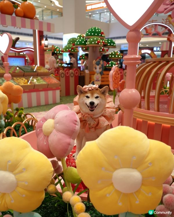 新春打卡好去處