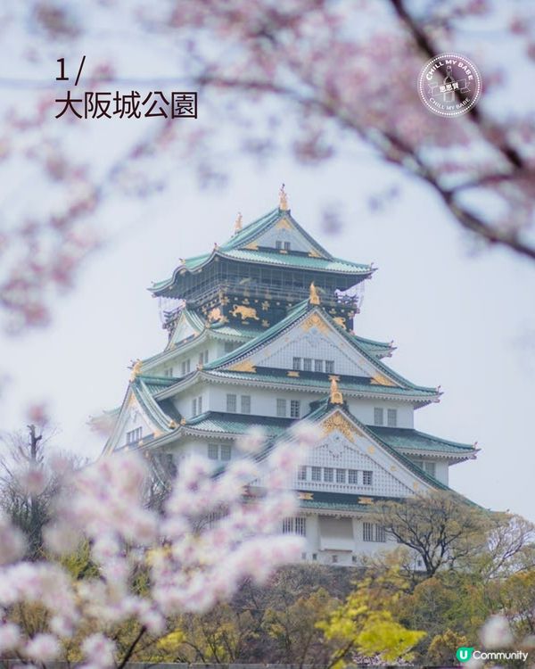 大阪櫻花2026🌸必去10大靚位！