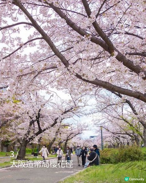 大阪櫻花2026🌸必去10大靚位！