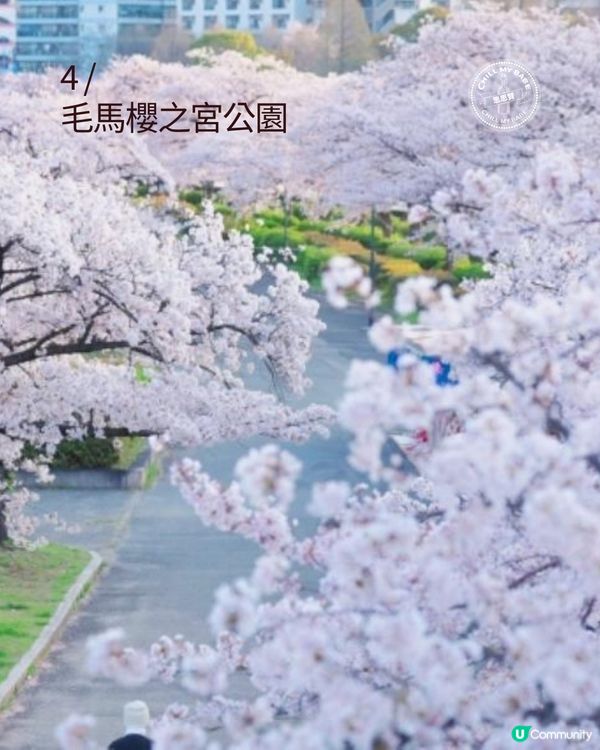 大阪櫻花2026🌸必去10大靚位！