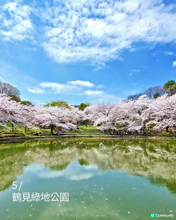 大阪櫻花2026🌸必去10大靚位！