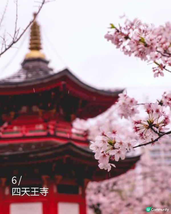 大阪櫻花2026🌸必去10大靚位！