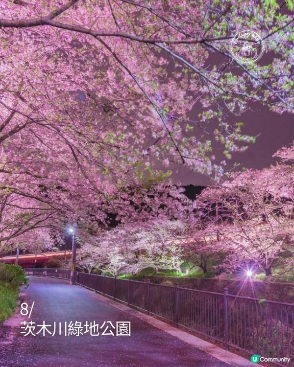 大阪櫻花2026🌸必去10大靚位！