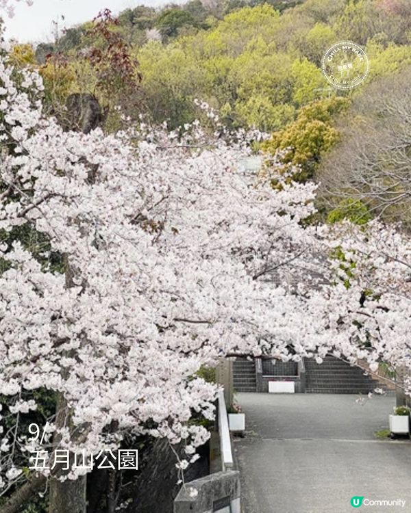 大阪櫻花2026🌸必去10大靚位！