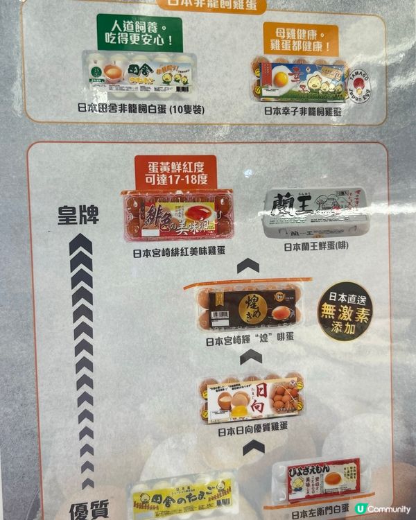 #蛋蛋關注組成員 邊款蛋最好味?