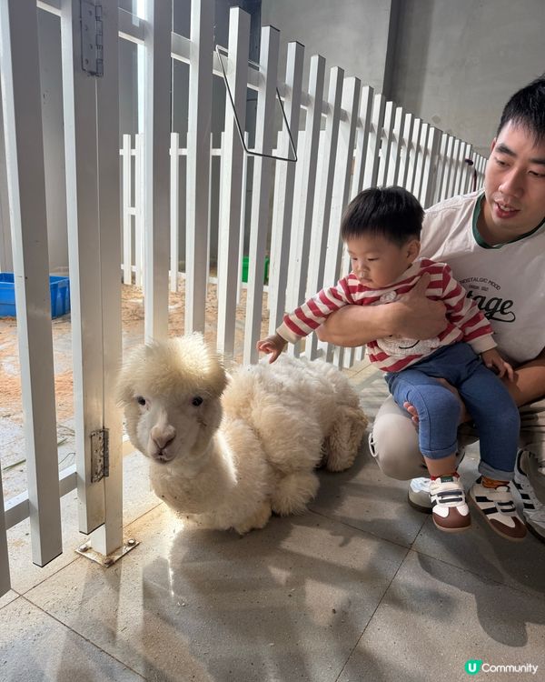 萬象食家親子遊！筍崗站直達超方便！🤩