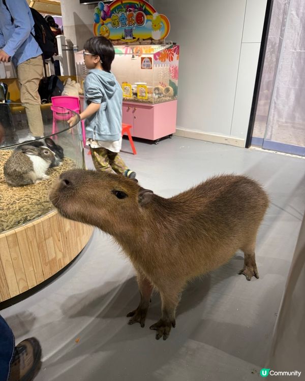萬象食家親子遊！筍崗站直達超方便！🤩