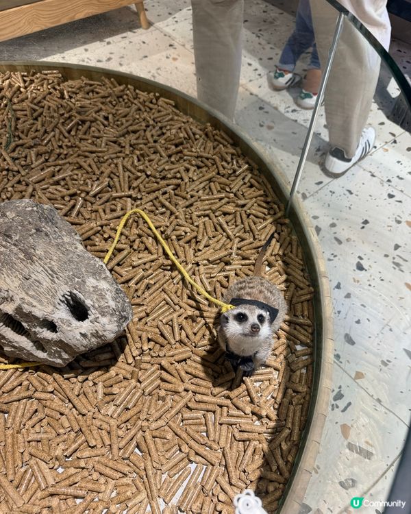 萬象食家親子遊！筍崗站直達超方便！🤩