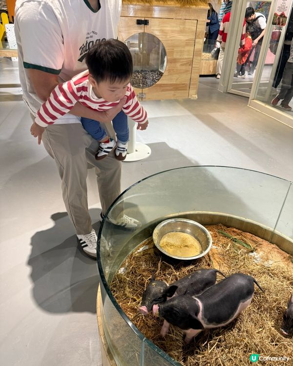 萬象食家親子遊！筍崗站直達超方便！🤩