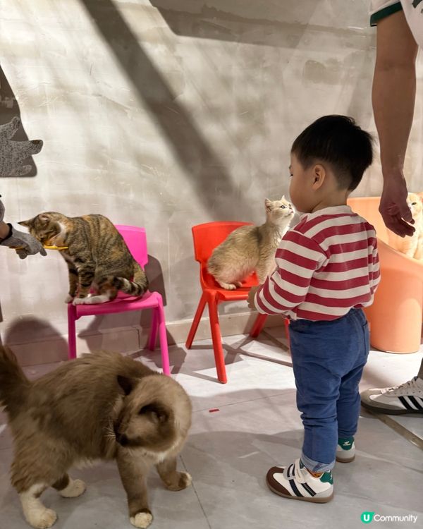 萬象食家親子遊！筍崗站直達超方便！🤩