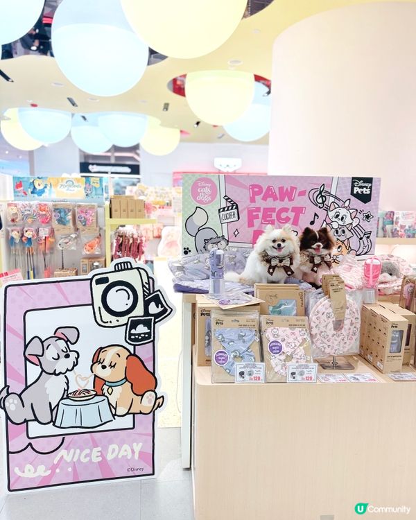 Disney寵物用品哂冷🌟