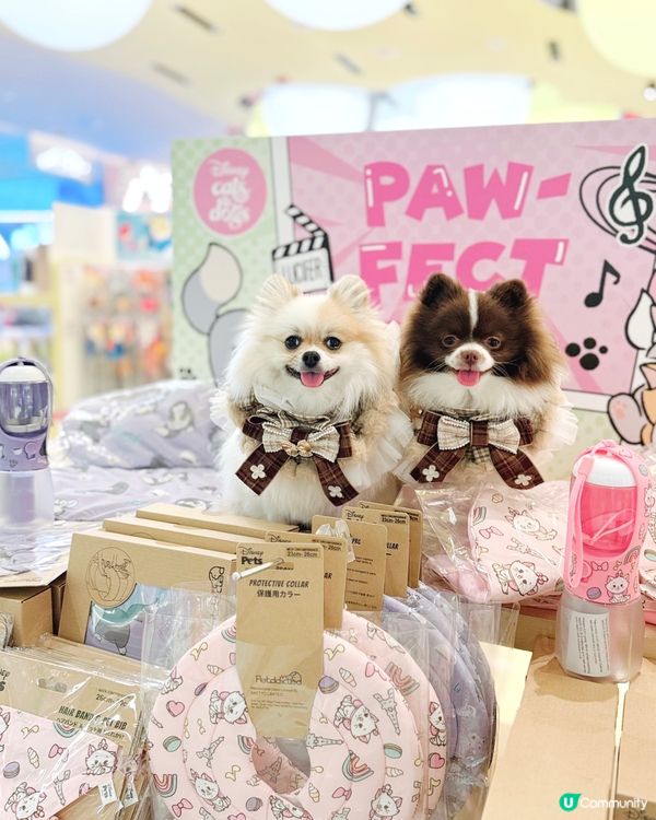 Disney寵物用品哂冷🌟
