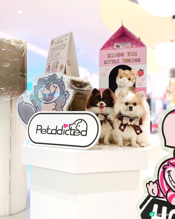 Disney寵物用品哂冷🌟