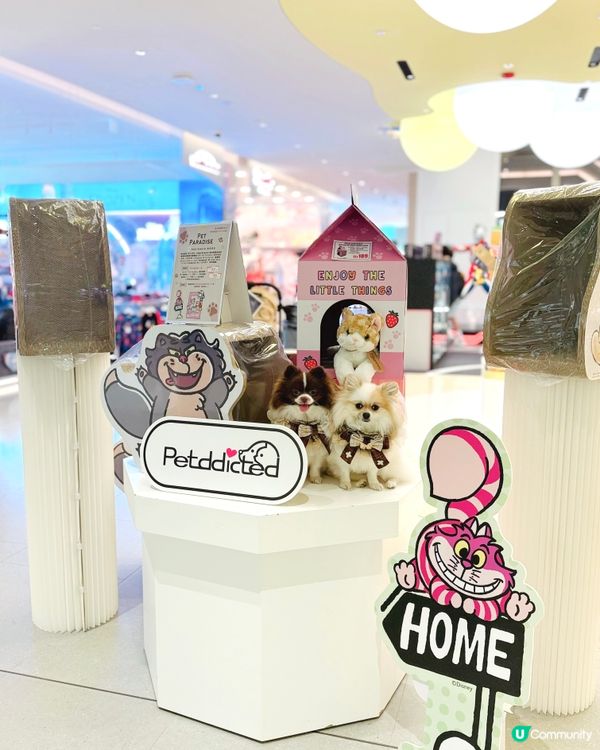 Disney寵物用品哂冷🌟