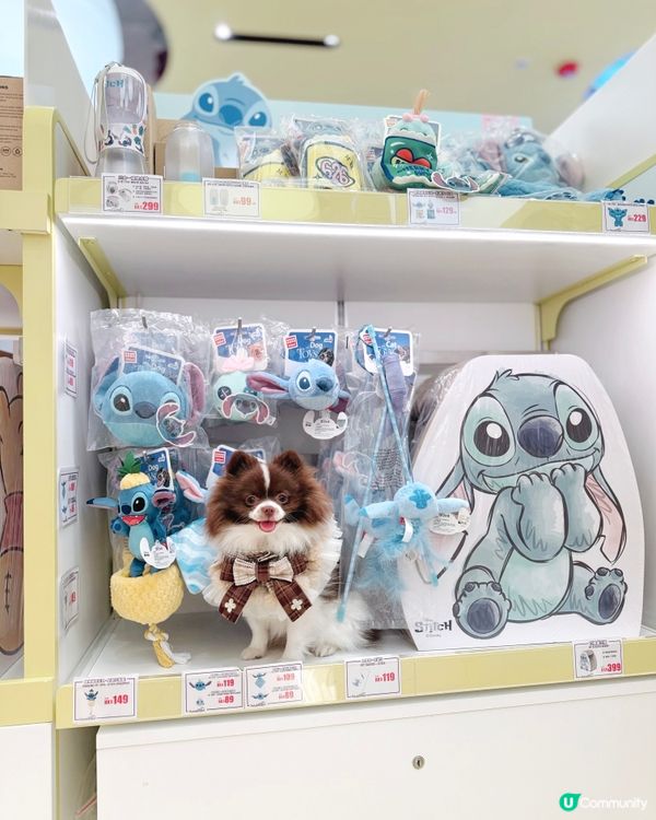 Disney寵物用品哂冷🌟