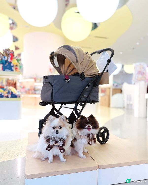 Disney寵物用品哂冷🌟