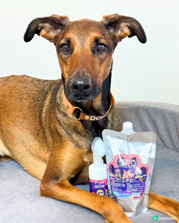 腳掌泡泡洗白白 🦶✨