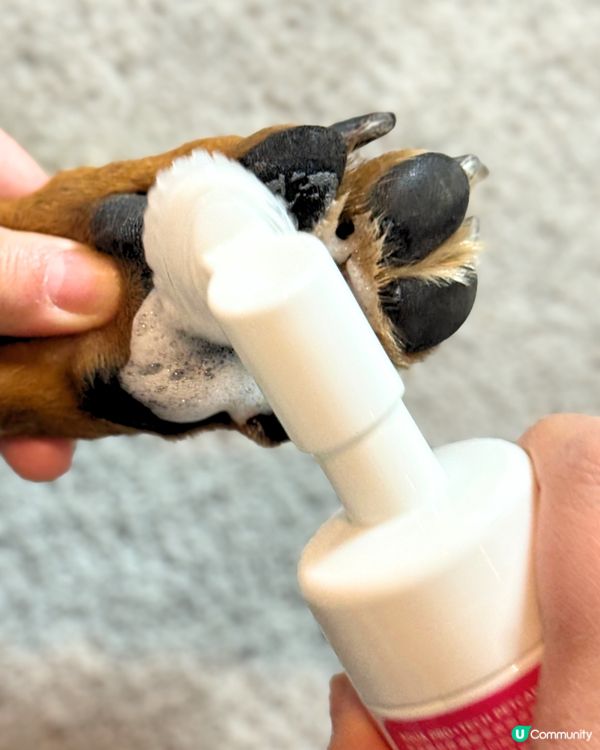 腳掌泡泡洗白白 🦶✨