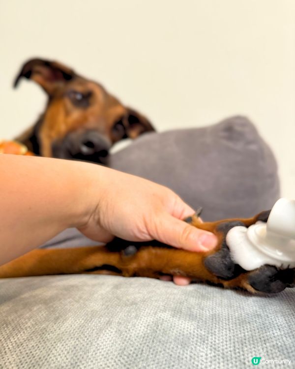 腳掌泡泡洗白白 🦶✨