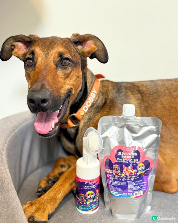 腳掌泡泡洗白白 🦶✨