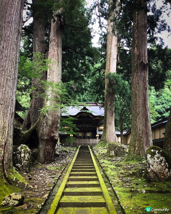 環遊日本🇯🇵｜北陸地區小眾旅行地攻略🦖